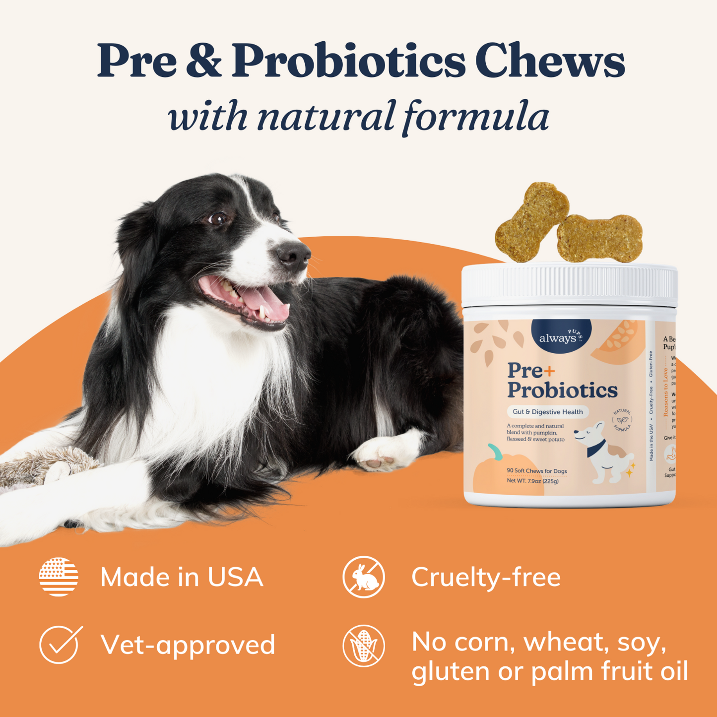 Pre & Probiotic Chews for Dogs