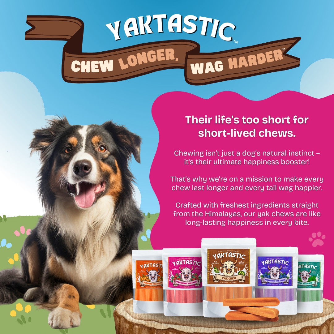 Yaktastic™ Strawberry Yak Chews