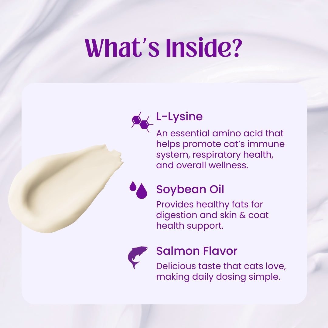 Kitty Klear L-lysine Immune Support Gel for Cats