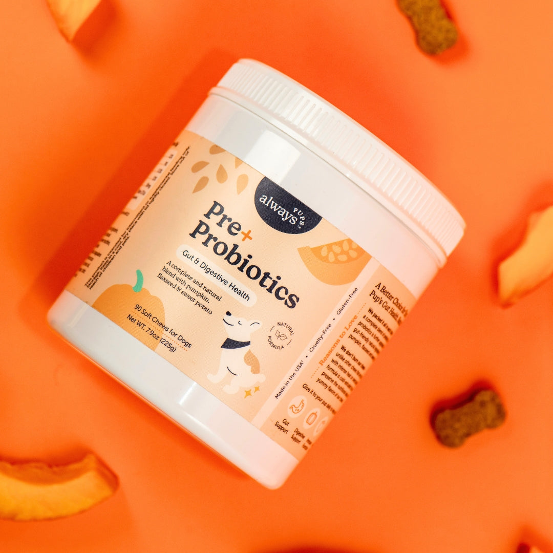 Pre & Probiotic Chews for Dogs
