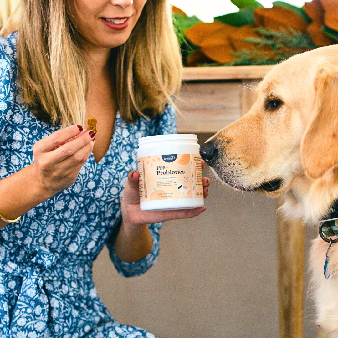 Pre & Probiotic Chews for Dogs