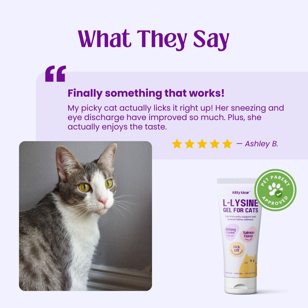 Kitty Klear L-lysine Immune Support Gel for Cats