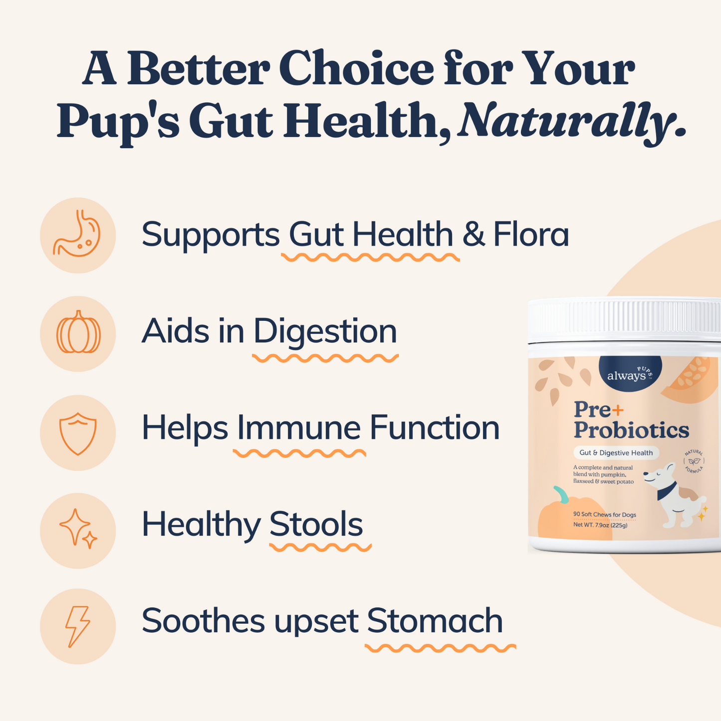 Pre & Probiotic Chews for Dogs