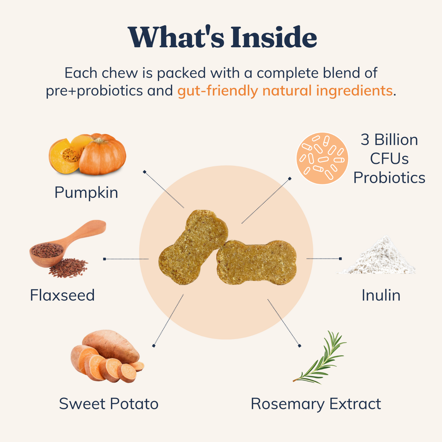 Pre & Probiotic Chews for Dogs