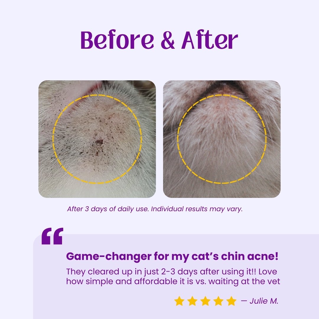 Kitty Klear Acne Away Chin Acne Wipes for Cats