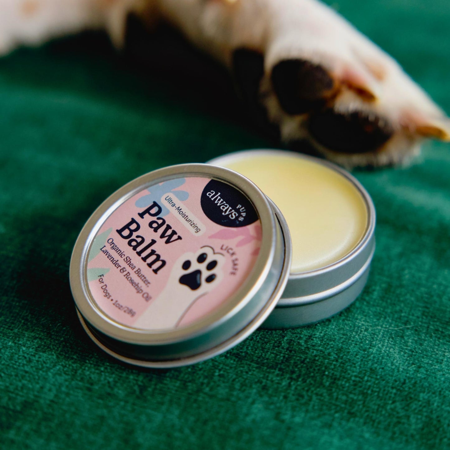AlwaysPups All Natural Organic Paw Balm for Dogs on a green couch