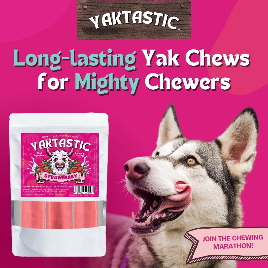 Yaktastic™ Strawberry Yak Chews