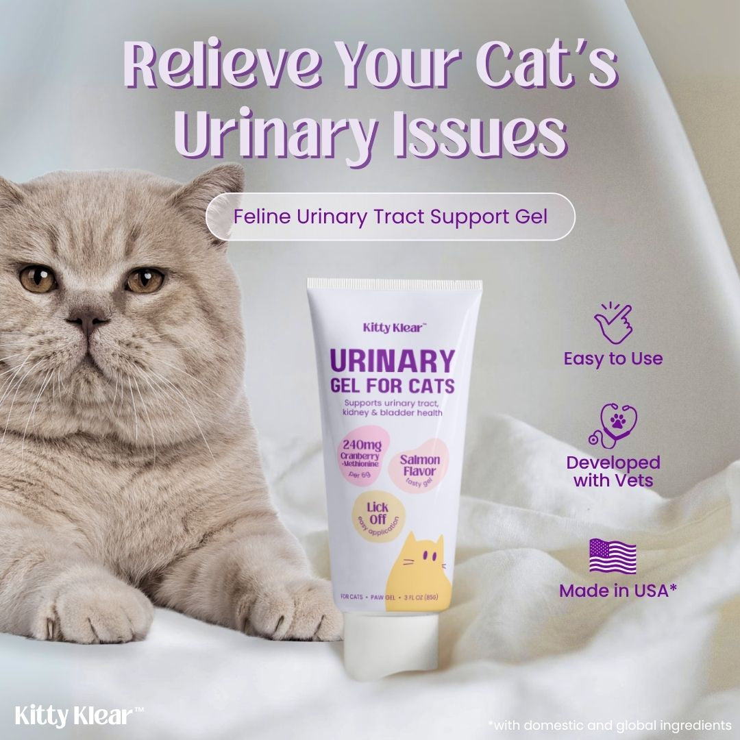 Urinary Tract Support Gel for Cats