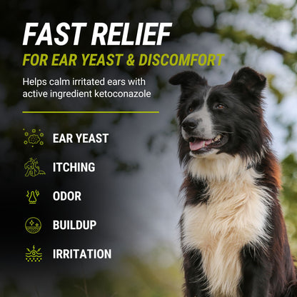 RAPIDO™ EarFix Medicated Ear Flush for Dogs