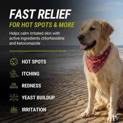 RAPIDO™ SpotFix Medicated Skin Spray for Dogs
