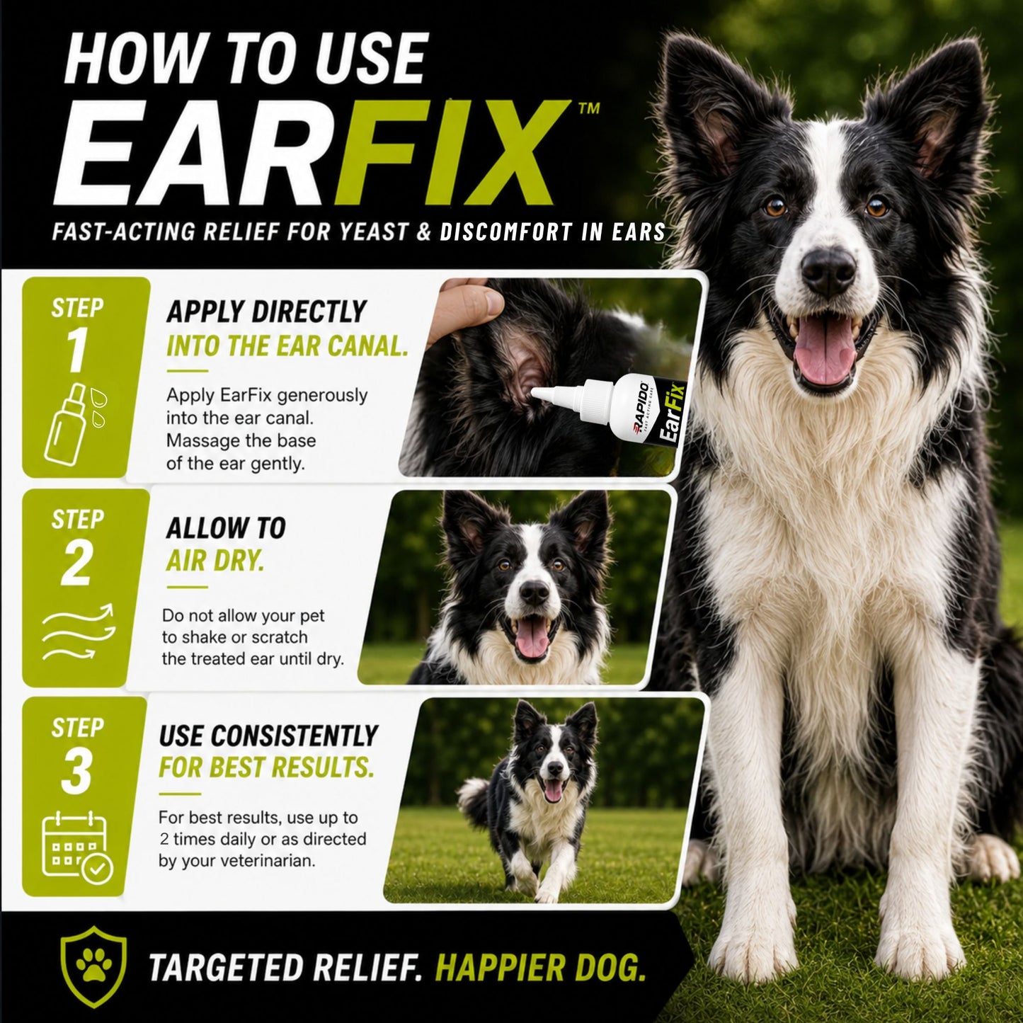 RAPIDO™ EarFix Medicated Ear Flush for Dogs