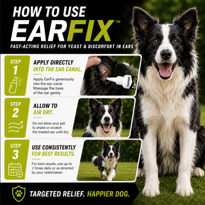 RAPIDO™ EarFix Medicated Ear Flush for Dogs