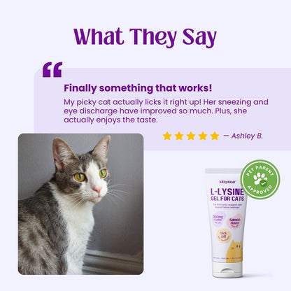 Kitty Klear L-lysine Immune Support Gel for Cats