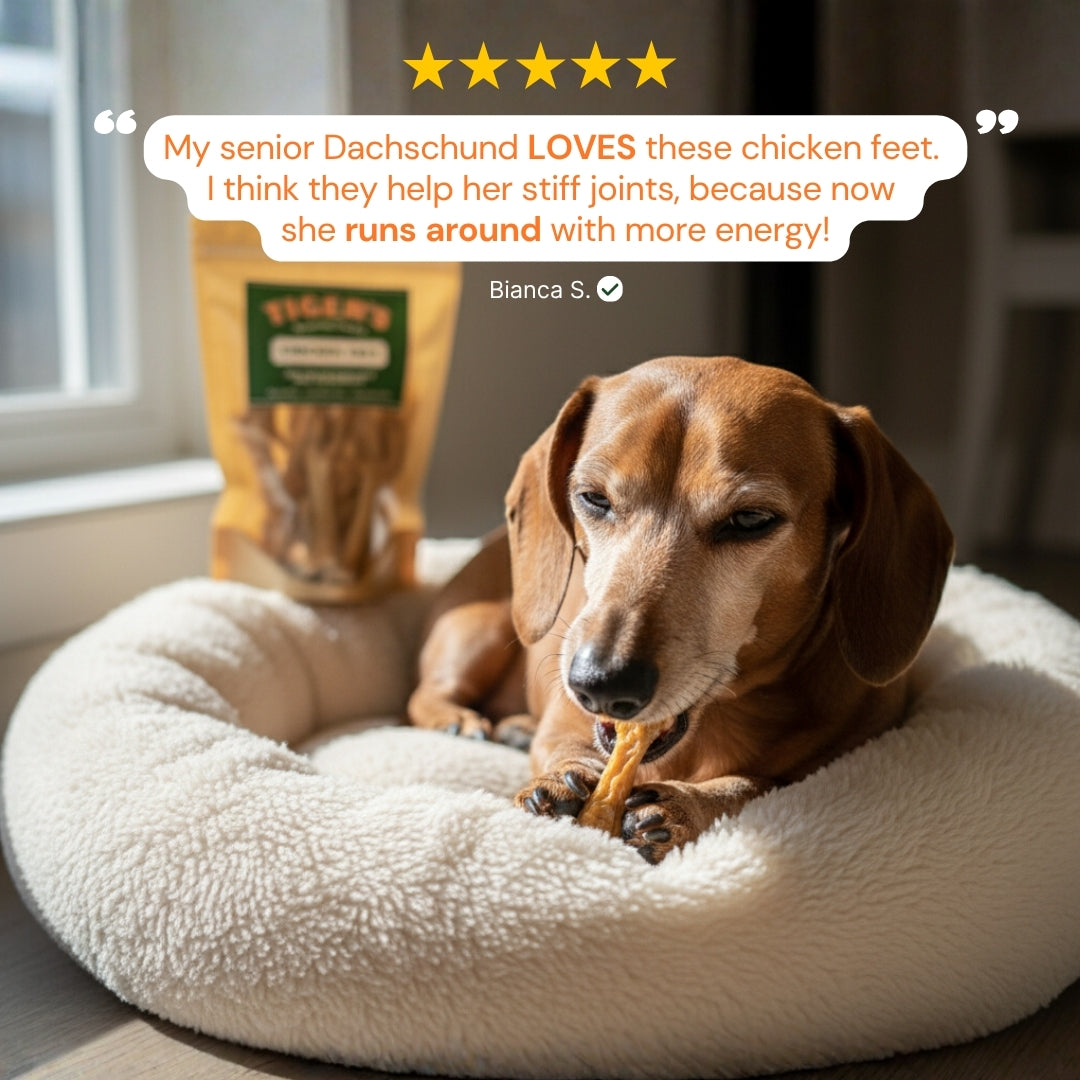 Dachshund on a fluffy bed with a bag of Tiger's Chickekn Feet, surrounded by five-star review text.
