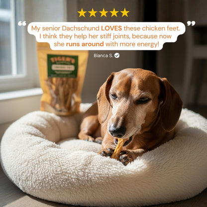 Dachshund on a fluffy bed with a bag of Tiger's Chickekn Feet, surrounded by five-star review text.