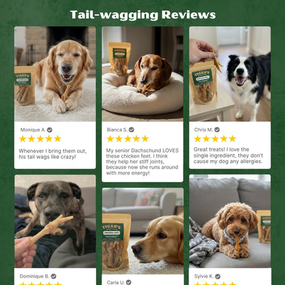 Five Star Reviews of chicken feet with images of dogs and text on a green background