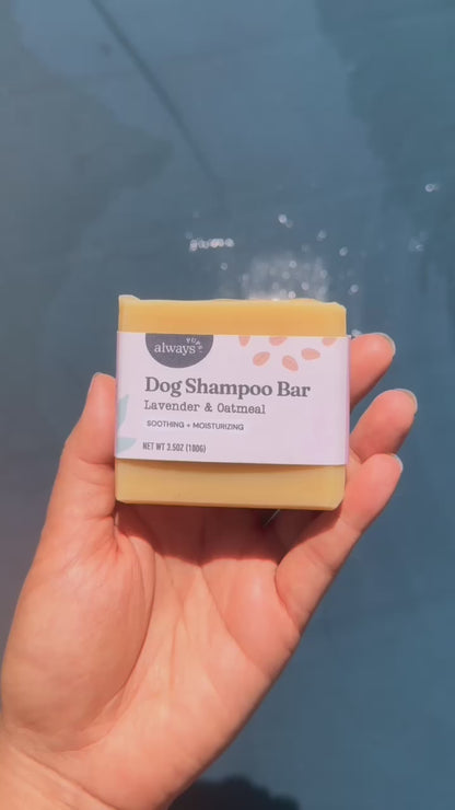 Dog Shampoo Bar