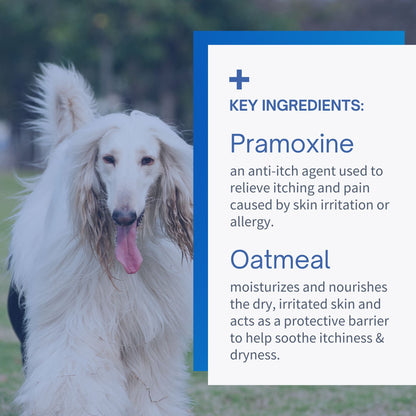 Pramoxine Shampoo for Dogs & Cats - 16oz
