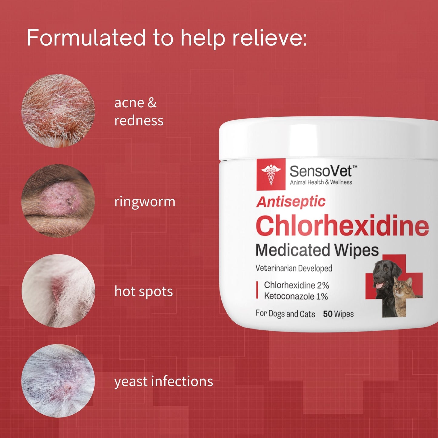 Antiseptic Chlorhexidine Wipes for Dogs & Cats - 50 Wipes