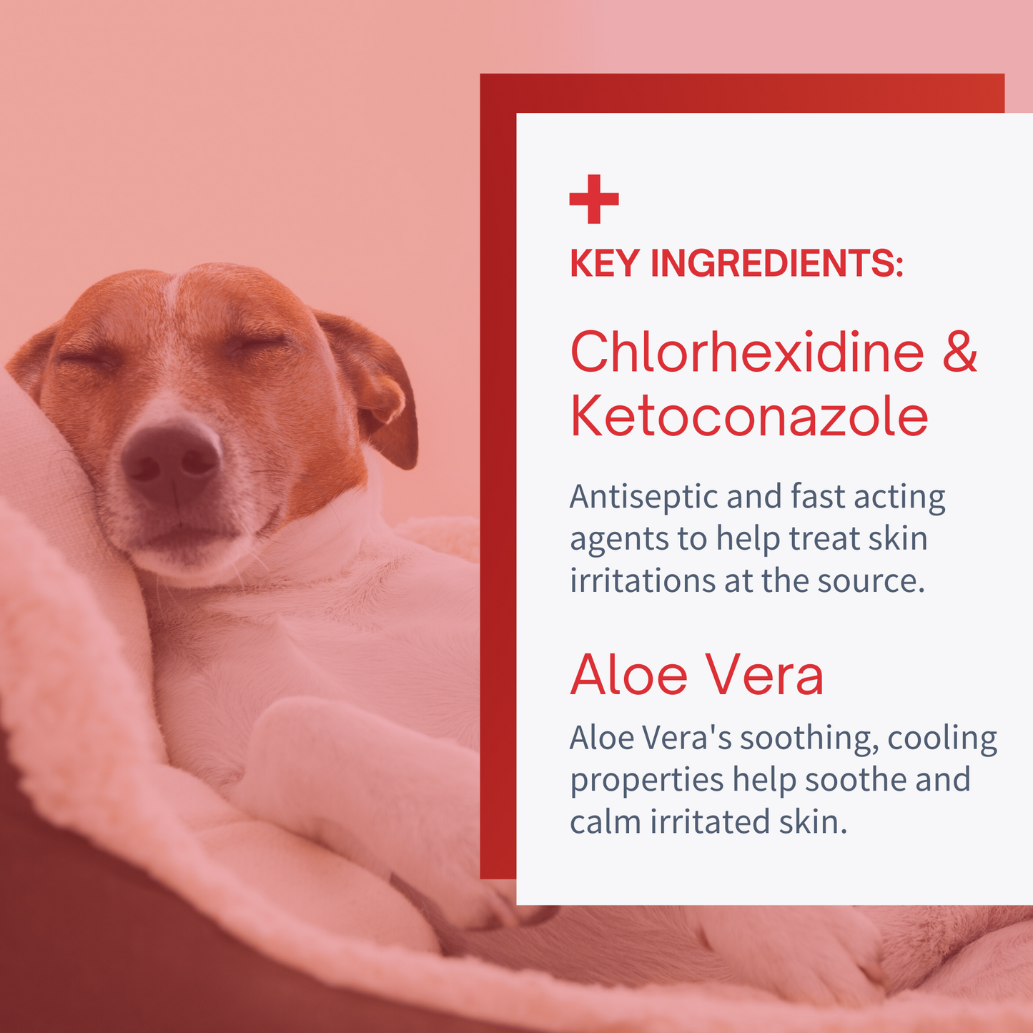 Hot Spot & Rash Spray for Dogs & Cats - 8oz