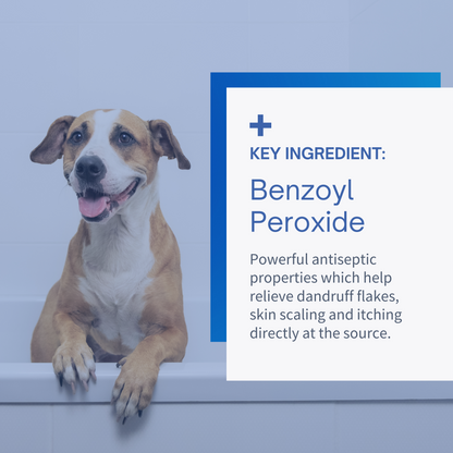 Benzoyl Peroxide Shampoo for Dogs & Cats - 12oz