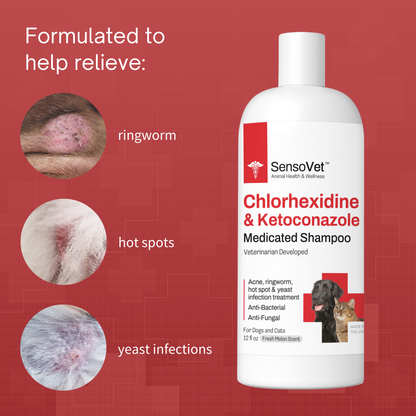 Chlorhexidine Ketoconazole Shampoo for Dogs & Cats - 12oz