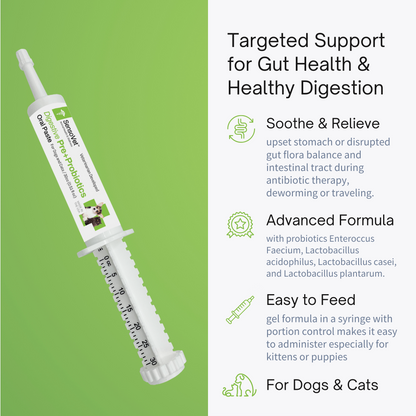 Prebiotic & Probiotic Oral Paste for Dogs & Cats - 30cc