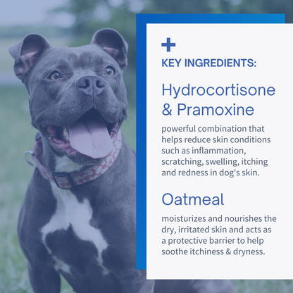 Hydrocortisone & Pramoxine Spray for Dogs & Cats - 4oz