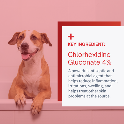 Chlorhexidine 4% Max Strength Shampoo Medicated Shampoo for Dogs & Cats