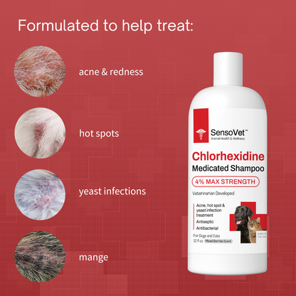 Chlorhexidine 4% Max Strength Shampoo Medicated Shampoo for Dogs & Cats